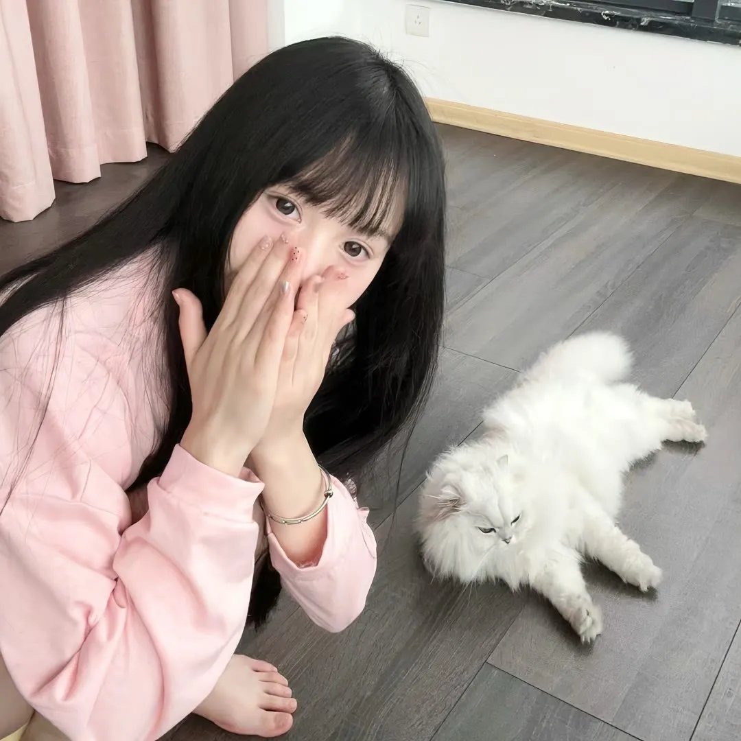 猛虎制黑龙
